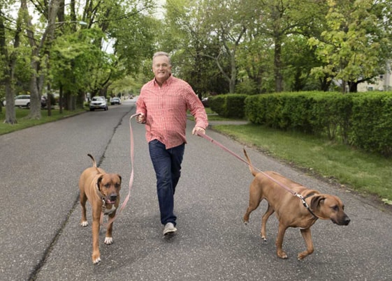 man walking dogs for side gig